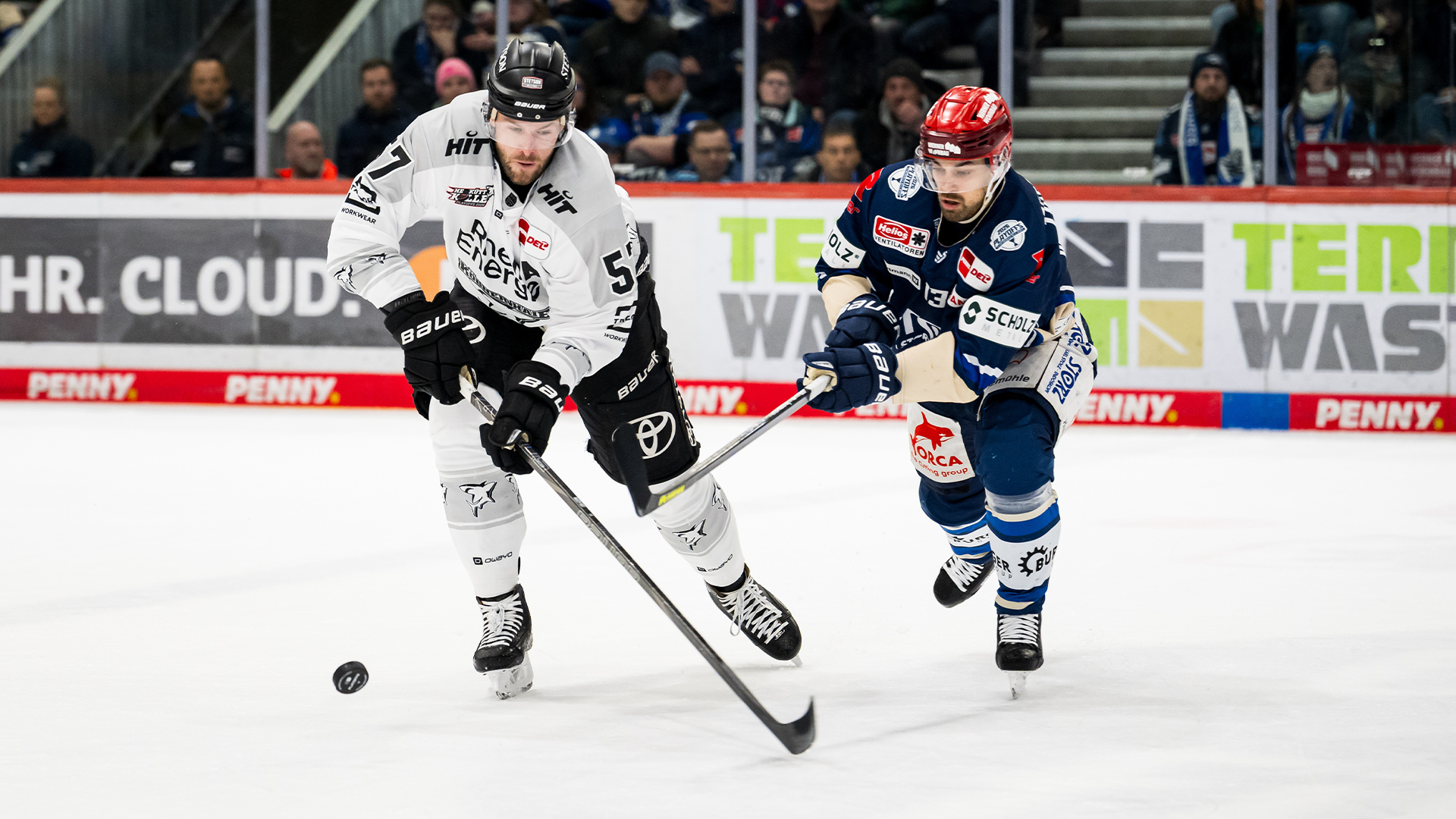 Schwenninger Wild Wings gg. Kölner Haie